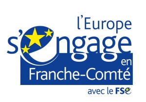 Logo FSE